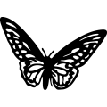 (image for) Butterfly 4 =