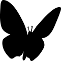 (image for) Butterfly 6a _