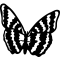 (image for) Butterfly 7 =