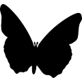 (image for) Butterfly 7a _