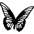 (image for) Butterfly 8 =