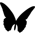 (image for) Butterfly 8a _