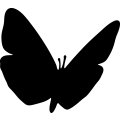 (image for) Butterfly 9a _