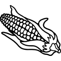 (image for) Corn Ear 1 =