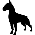 (image for) Bull Terrier 17 _