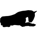 (image for) Bull Terrier 24 _