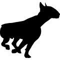(image for) Bull Terrier 26 =