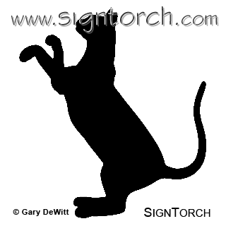 (image for) Devon Rex 11 _