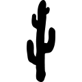 (image for) Cactus 17 _
