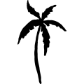 (image for) Palm 23 _