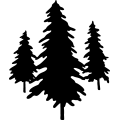 (image for) Tree 11 =
