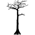 (image for) Tree 23 =