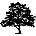 (image for) Tree 25 =