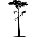 (image for) Tree 28 =