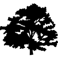 (image for) Tree 29 =