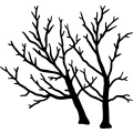 (image for) Tree 32 =