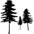(image for) Tree 9 =