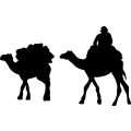 (image for) Camel 1 ! =