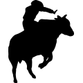 (image for) Bull Rider 2 =