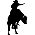 (image for) Bull Rider 5 =