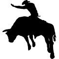 (image for) Bull Rider 6 =