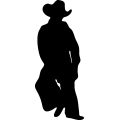 (image for) Cowboy 6 =
