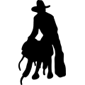 (image for) Cowboy 9 =