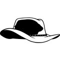 (image for) Cowboy Hat 3 =