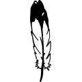 (image for) Feather 4 =
