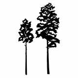 (image for) Aspen Tree Vector cnc art sample