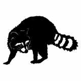 (image for) Raccoon cnc art sample