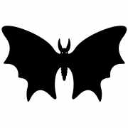 Bat Butterfly