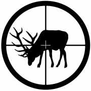 Elk Grazing Scope