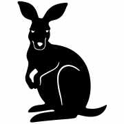 Kangaroo