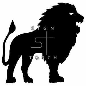 (image for) Lion 4