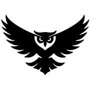 Owl 2