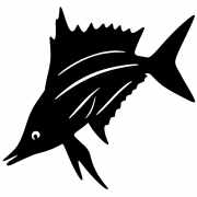 Sailfish