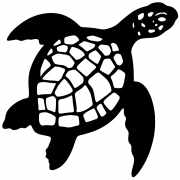 Sea Turtle 2