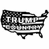 (image for) trump_2024 trump  2024  country