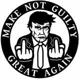 (image for) trump_again trump again  not guilty