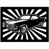 (image for) cars_1  67 chevelle ss  rays