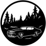 (image for) cars_1  70s chevelle  forest