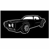 (image for) cars_1  71 firebird 400=-  pit