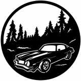 (image for) cars_1  77 z28=-  forest