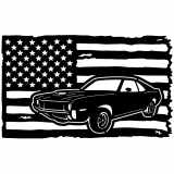 (image for) cars_1 amc javelin  1970=-  flag