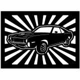 (image for) cars_1 amc javelin  1970=-  rays