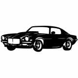 (image for) 1973 Camaro=