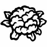 (image for) plant_life cauliflower