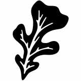 (image for) plant_life oak lettuce