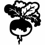 (image for) plant_life turnip